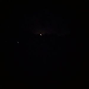 Meet your Posher, Darla